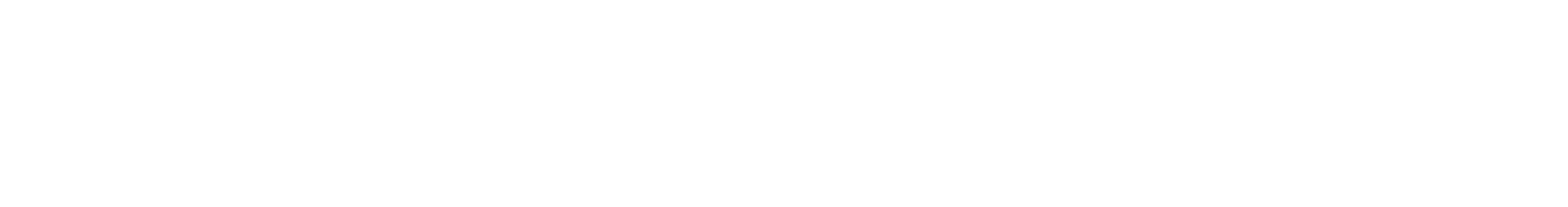 Bicivik Logo